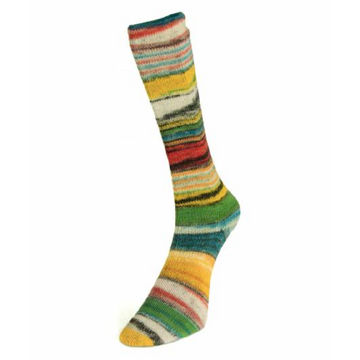 Laines du Nord Eclectic Sock