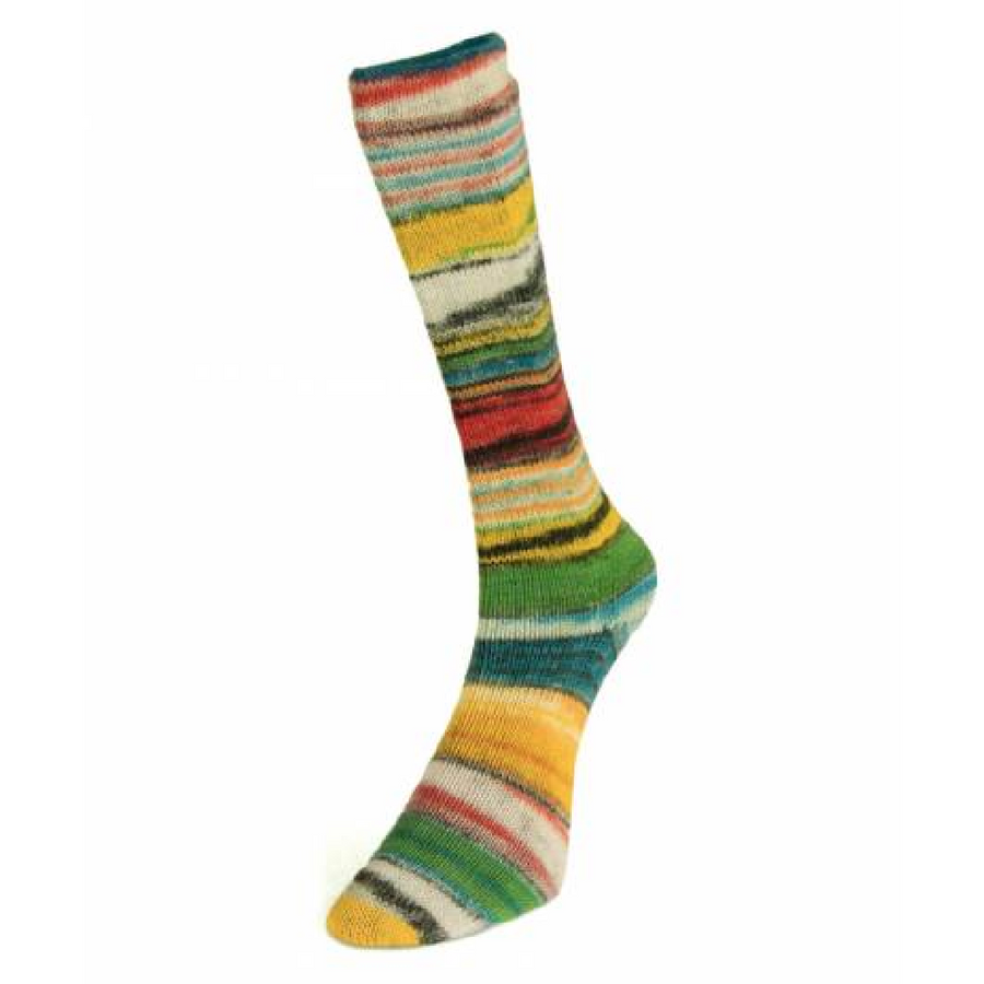 Laines du Nord Eclectic Sock