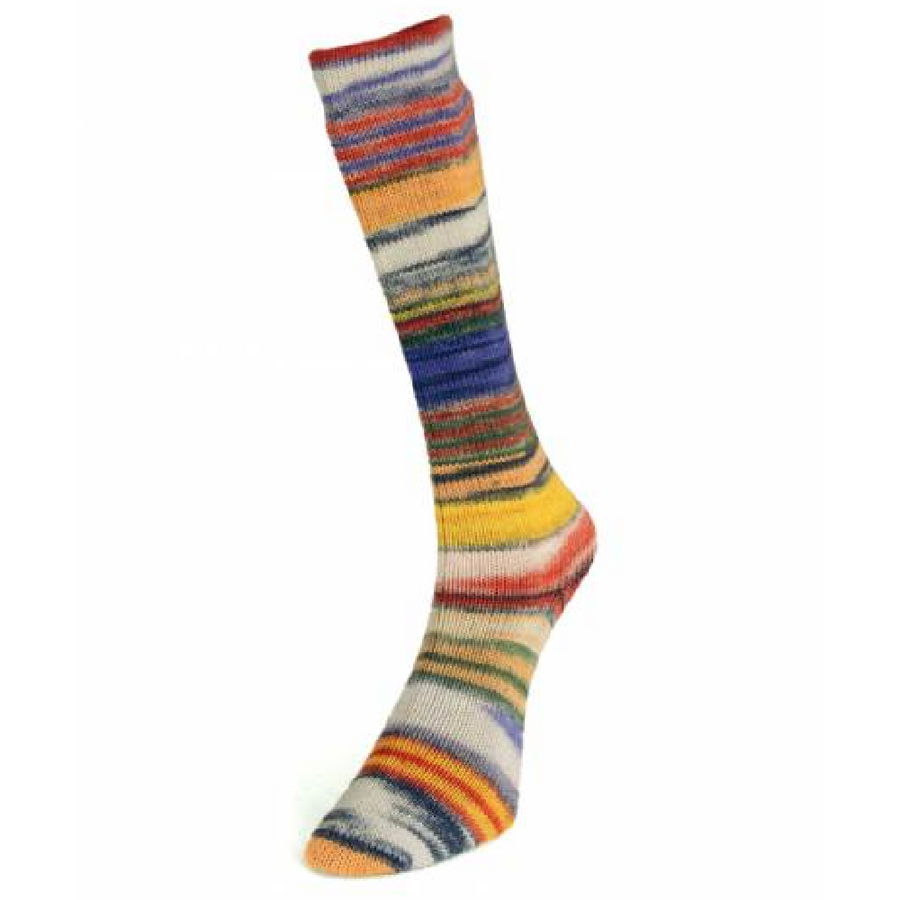 Laines du Nord Eclectic Sock