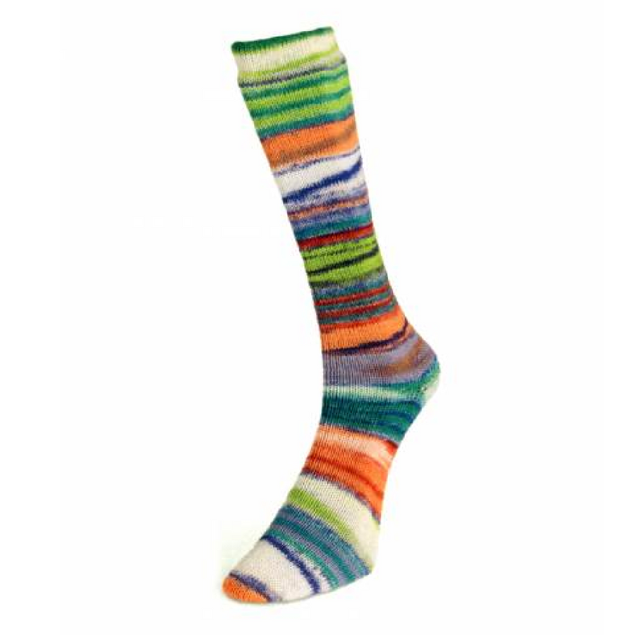 Laines du Nord Eclectic Sock