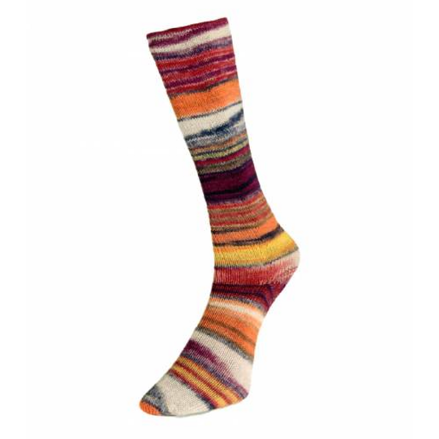 Laines du Nord Eclectic Sock