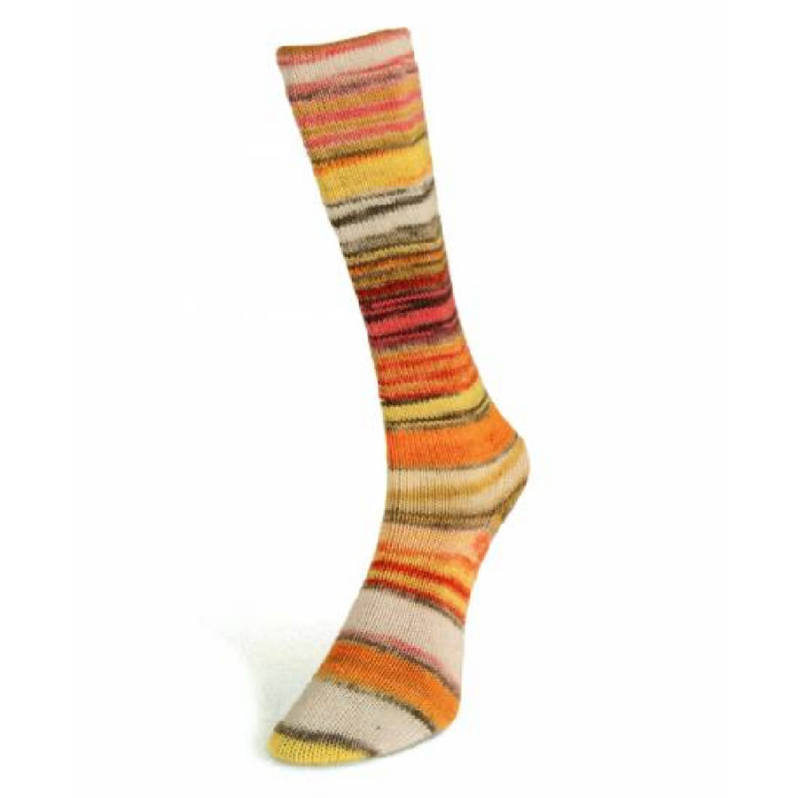 Laines du Nord Eclectic Sock