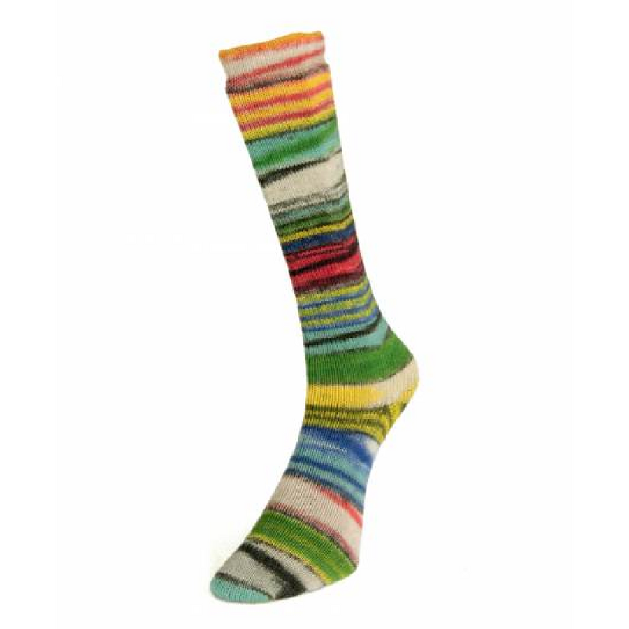 Laines du Nord Eclectic Sock