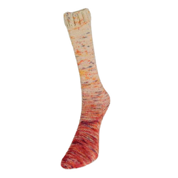 Laines du Nord Paint Gradient Sock