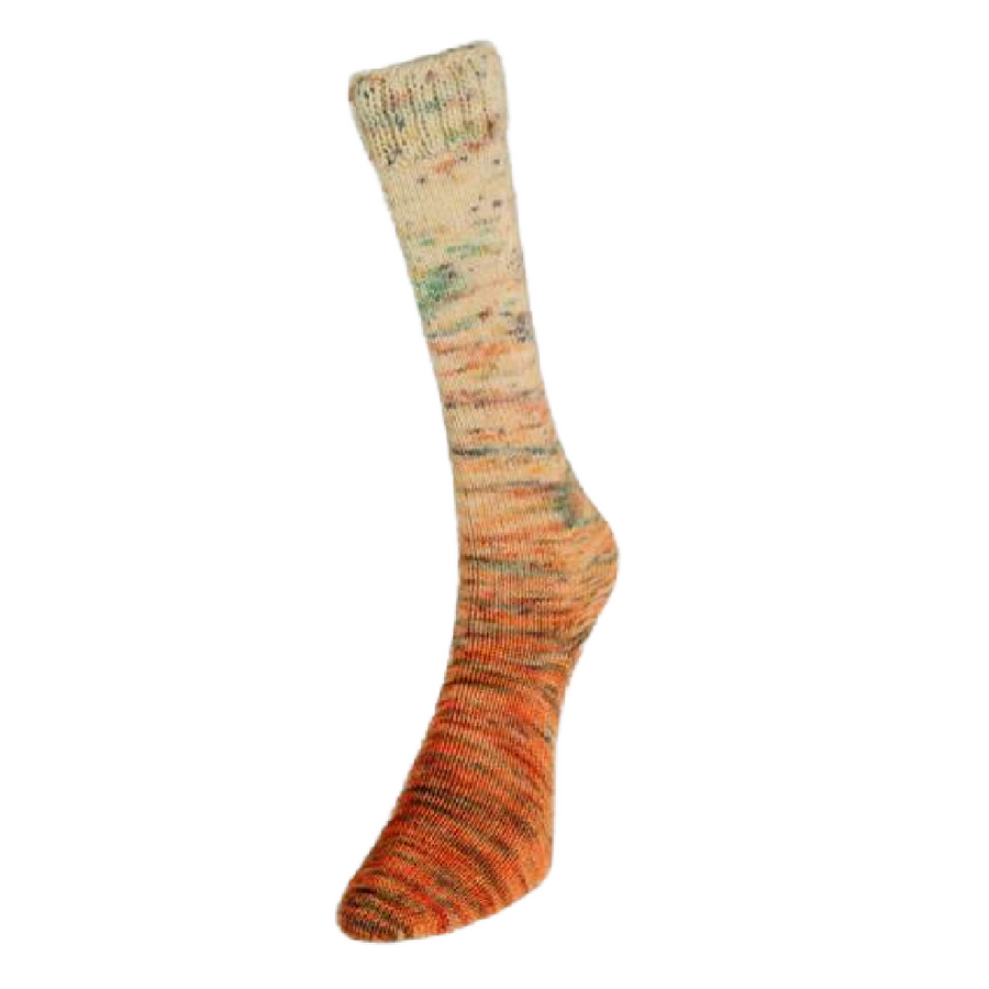 Laines du Nord Paint Gradient Sock