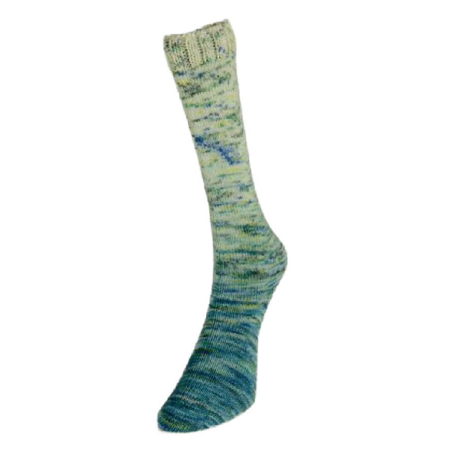 Laines du Nord Paint Gradient Sock