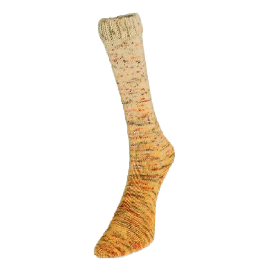 Laines du Nord Paint Gradient Sock