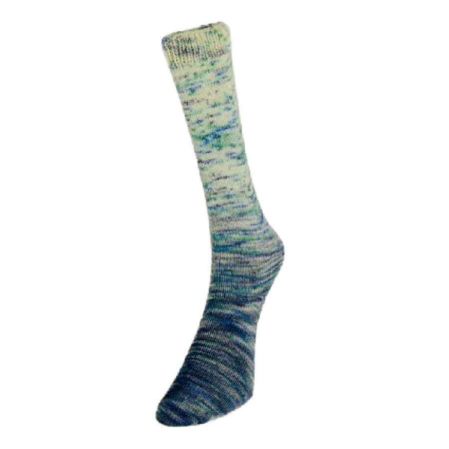 Laines du Nord Paint Gradient Sock