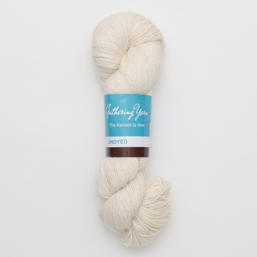 Bare Yarn - Gauro Single Merino Silk