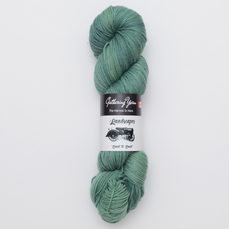 Gathering Yarn Landscapes